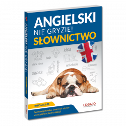 Angielski nie gryzie. Słownictwo