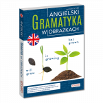 Angielski. Gramatyka w obrazkach (A1-B1) - gramatyka angielska dla wzrokowców