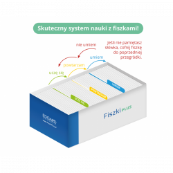 Fiszki PLUS. Norweski dla początkujących