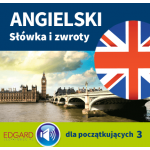 Angielski. Słówka i zwroty dla początkujących 3