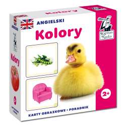 Angielski. Kolory. Karty obrazkowe